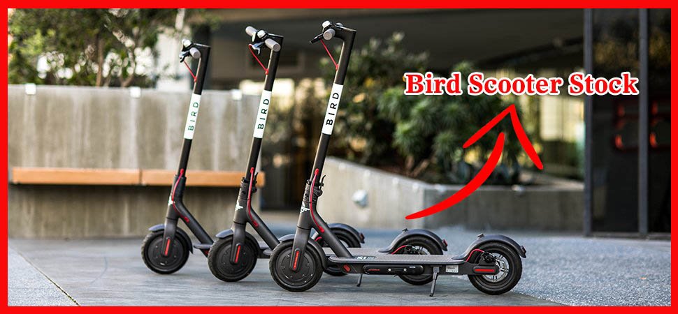 bird scooter stock